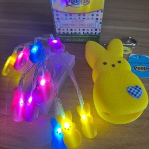 Bath and Body Works Peeps pocketbac holder and string light